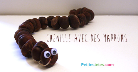 chenille-marrons