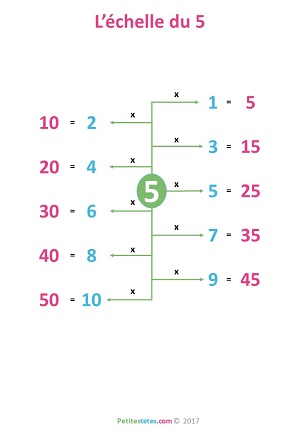 table 5 echelle